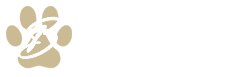 littlemissbritches.com